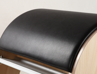 Équipement Pilates Accessoires Pilates Professionnel Entraînement Yoga Exercice Équipement de Thérapie Physique Correcteur de Colonne Vertébrale Pilates E46