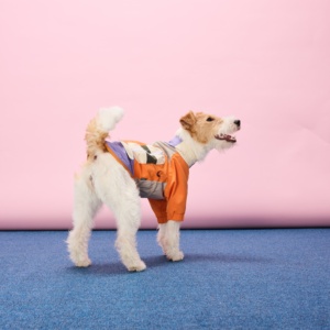 Chaqueta Clásica Impermeable, Transpirable y Ligera de Poliéster para Perro, con Cierre y Cuello Alto, para Golden Retriever, Pastor Alemán, Talla XL - Product Image 2