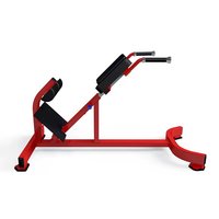 Chaise romaine réglable YL-2011 |   Banc d'hyperextension dorsal commercial certifié CE