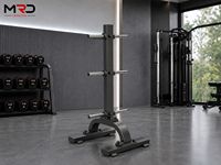 Support vertical pour plaques de poids MRD B1054, solution de rangement pour plaques de poids, gain de place, pour salle de sport