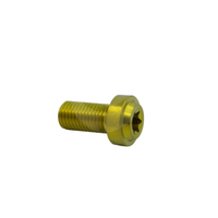 Sekrup Rotor Rem Cakram Titanium Ti6Al4V Grade 5 Kepala Tombol Torx Warna Anodized Motor Otomotif Balap Langsung dari Pabrik