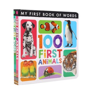 หนังสือกระดาษการศึกษาสำหรับเด็กปฐมวัย24x24ซม. หนังสือกระดาษยูนิเซ็กซ์สีสันสดใสใช้ได้จริง - Product Image 1