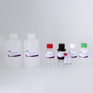 Kit de l'anticorps ELISA de <span class=keywords><strong>REV</strong></span> (96T) | CE certifié | Test de sérum aviaire | Commande en gros disponible - Product Image 2