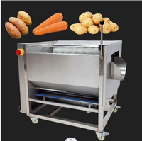 Machine de nettoyage et de pelage de haute qualité pour fruits, légumes, taro, radis, carotte, pomme de terre, gingembre