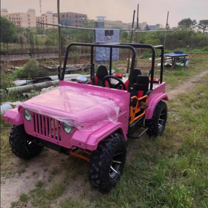 Cuatrimoto de Cuatro Plazas, 2WD, 320cc, con Transmisión por Eje de Gasolina, Buggy para Adultos de 4 Ruedas, Batería de Plomo-Ácido de 60V 52A - Product Image 1
