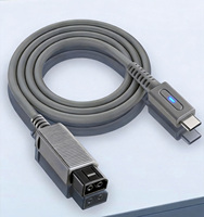 Câble d'alimentation Type-C pour console Wii, câble de charge USB-C - Compatible avec un adaptateur secteur de 65 W ou plus