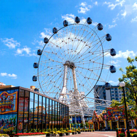 Construisez votre propre parc d'attractions avec une grande roue de 38 m, fabricant d'attractions de parc d'attractions, attraction de fête foraine en plein air