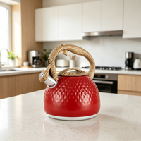 Théière en acier inoxydable de qualité alimentaire, bouilloire sifflante avec fond à induction pour tous les types de cuisinières