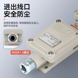 Bzx51 5z L N T Limit Switch Cast Aluminum Alloy Roller Explosion Proof Travel Switch Dlxk5 Series - Product Image 2