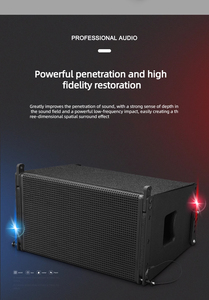 Hot Sale Single 10 Inch <strong>Line</strong> <strong>Array</strong> Sound Complete Professional Sound <strong>System</strong> - Product Image 2