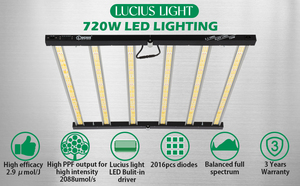 Lámpara de Cultivo LED Industrial de 720 Vatios, Espectro Completo Personalizable y Regulable para Todas las Etapas de Crecimiento de las Plantas - Product Image 4