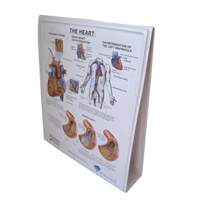 Tabla de calendario médico de Anatomía Humana, impresión personalizada, tabla médica de corazón humano - Product Image 1