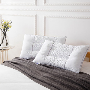 En gros blanc coton noyau d'<span class=keywords><strong>oreiller</strong></span>, graines <span class=keywords><strong>de</strong></span> cassia, <span class=keywords><strong>oreiller</strong></span> adulte <span class=keywords><strong>oreiller</strong></span> <span class=keywords><strong>de</strong></span> <span class=keywords><strong>sarrasin</strong></span> <span class=keywords><strong>pour</strong></span> la maison <span class=keywords><strong>pour</strong></span> hôtel - Product Image 2