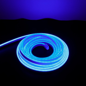 Bandes lumineuses LED néon RGBIC flexibles AC220V, télécommande, étanches IP65, en cuivre, garantie 2 ans, éclairage paysager Ra80 - Product Image 4