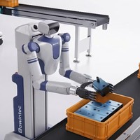 Robot Colaborativo Humanoide Industrial de Doble Brazo con IA de Última Generación, BW10, Autónomo para Manipulación de Materiales e Inspección