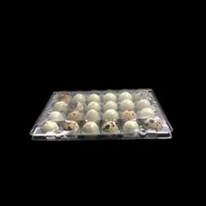Wholesale Transparent 30 Eggs PP Material Plastic Blister Tray Transporting Chicken Quail Duck Egg Tray