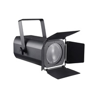 Projecteurs COB 200W Super Lumineux pour Événements : Idéal Jardin, Fêtes, Bord de Piscine, Mariages, Théâtre