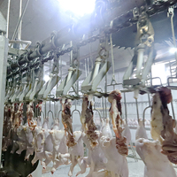 100Bph-13000Bph Abattoir de poulet Ligne de machine d'abattage/habillage