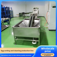 Machine de lavage, de tri, de séchage à l'air, de polissage, d'inspection et de codage des œufs de canard salés en acier inoxydable avec garantie de 4 ans