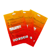 Patch pour les pieds d'hiver à l'armoise et au gingembre, antioxydant, anti-âge, soulagement de la douleur, aide au sommeil, favorise la guérison et la réparation cellulaire, application ARM