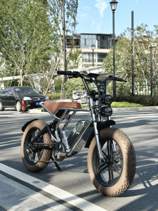 Vélo électrique tout-terrain 4LEAF 20 pouces, batterie au lithium 48V 18.6AH, cadre en alliage d'aluminium 500W, 7 vitesses, double frein - Product Image 6