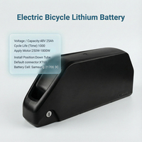 Batterie de vélo électrique 48V 25Ah en stock dans l'UE, pack de batterie Akku avec BMS 50A intégré pour tricycle, pousse-pousse, batterie 250-1800W avec chargeur 3A, prise XT60