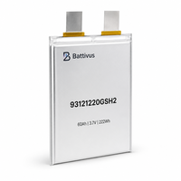 Batterie solide Battivus 3.87V 60Ah 516g ultra-légère 450Wh/kg pour drones de cartographie VTOL – Vente chaude sur le marché européen et russe