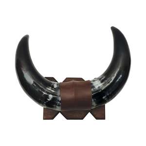 Paire de cornes de buffle rustiques de grande taille pour la décoration de bars, restaurants et cafés à prix abordable - Product Image 4