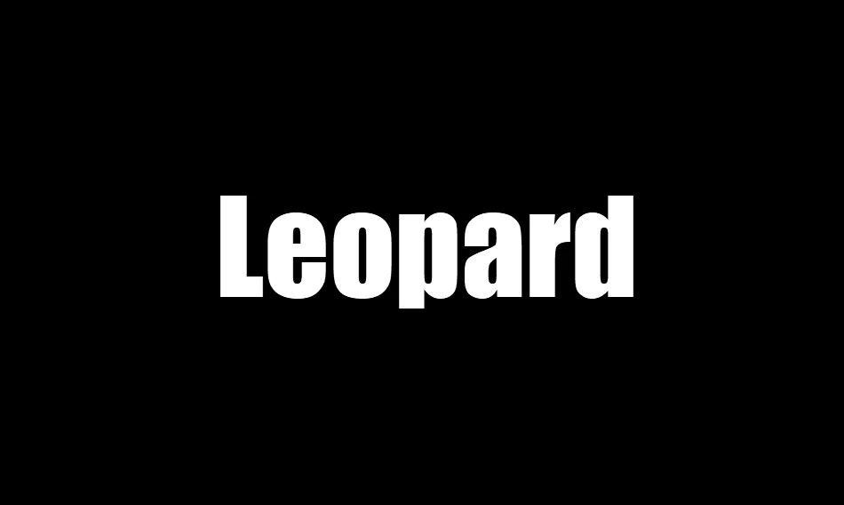 Suzhou Leopard Internation Trade Co., Ltd. logo