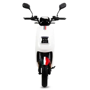 CE EEC 승인 전기 스쿠터 저렴한 전기 오토바이 1000 와트