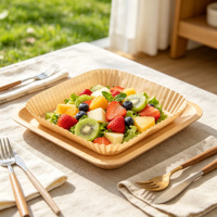 Tapis de cuisson biodégradable et antiadhésif populaire pour friteuse à air, idéal pour rôtir la viande et les ailes de poulet, résistant à la chaleur