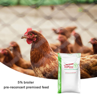 Prémélange de nourriture pour poulet Booster de croissance Vitamine et viande infusée de probiotiques Nourriture pour poulet pour un gain de poids accru