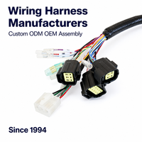 Produsen Kabel Harness Wiring HarnessODM OEM 	   Produsen Perakitan Kabel Kawat untuk Sepeda Motor dan Kendaraan