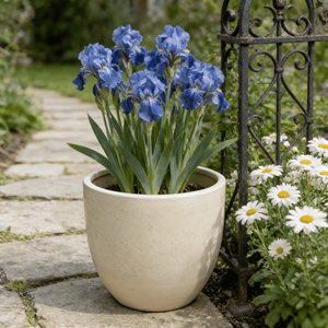 Pot de fleurs en céramique moderne de style américain, beige moucheté, en forme d'œuf, avec trou de drainage, écologique, durable, pour l'intérieur/l'extérieur - Product Image 1
