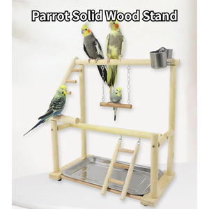 Eco-Friendly Natural Wood Parrot Playstand <strong>Bird</strong> Play Gym Removable Waste Tray Feeder Cups <strong>Bird</strong> Perch Playpen Parakeet <strong>Toy</strong> - Product Image 4