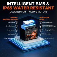 Baterai LiTime 24V 50Ah Group24 LiFePO4 dengan Bluetooth IP65 untuk Motor Trolling Sistem Off Grid Kelautan