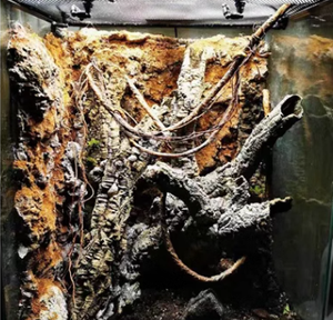 פקק פורטוגלי לאקווריומים ואביזרים עץ סחף - Product Image 3