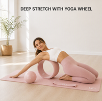 Perlengkapan Yoga Grosir OEM Kustom Set Bola Pilates Pita Resistensi Rajut Matras TPE Roda Yoga Tas Kanvas ABS Tahan Lama Ramah Lingkungan