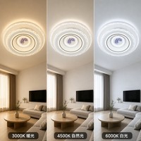 Plafonnier rond avec motif plume, plumes lavande horizontales au centre, cercles concentriques, panneaux gradués, décoration minimaliste
