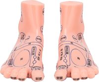 Modèle d'enseignement médical TCM, modèle de pied pour acupuncture, en PVC, modèle intelligent pour l'entraînement des infirmières en écoles de soins infirmiers, certifié CE/ISO