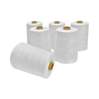 Fil de polyester recyclé T2T B2T DTY 50D 75D 100D 150D noir et blanc pour tissu d'habillement
