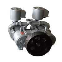 Pompe robuste à air refroidi sans huile pour silo à cendres volantes, rotative et stationnaire, avec roulement, de Shenyang Comptech