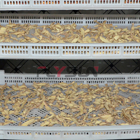 Professionele groente droogoven, droogmachine, machine voor het maken van gedroogde knoflook, gember en ui poeder