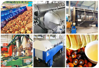 Ligne de production d'huile de palme brute de 1 à 100 TPH pour l'Afrique avec décortiqueuse, expulseur et clarificateur pour fabricants d'huile de palme