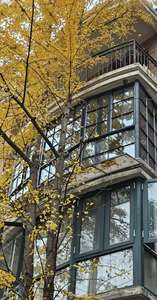 <span class=keywords><strong>Ventana</strong></span> Abatible de Aluminio de Alta Seguridad con <span class=keywords><strong>Mosquitera</strong></span> <span class=keywords><strong>Integrada</strong></span> de Malla Diamantada y Sistema de Cierre Multipunto - Product Image 6