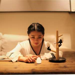 <span class=keywords><strong>Lampe</strong></span> <span class=keywords><strong>de</strong></span> <span class=keywords><strong>bureau</strong></span> moderne, petite <span class=keywords><strong>lampe</strong></span> <span class=keywords><strong>de</strong></span> lecture en bois <span class=keywords><strong>avec</strong></span> oiseau porte-bonheur, LED, 10 W, <span class=keywords><strong>chargeur</strong></span> sans fil, <span class=keywords><strong>lampe</strong></span> <span class=keywords><strong>de</strong></span> chevet, veilleuse - Product Image 3