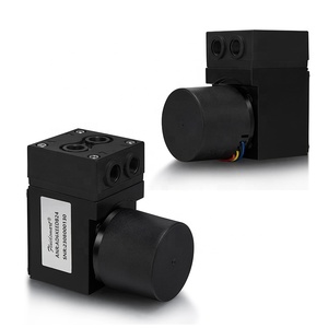 Fluidsmart AD6KEEDB24 24V Mini-Membranluftpumpe mit bürstenlosem Gleichstrommotor, EPDM-Membran, OEM-Unterstützung für VOC Online-Luftprobenahme - Product Image 5