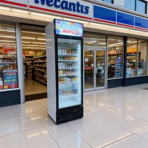 Exhibidor de Bebidas Comercial de 200L con Descongelación Manual, 2 Puertas, Enfriamiento por Ventilador, Enfriador de <span class=keywords><strong>Cerveza</strong></span> y Bebidas - Product Image 5