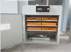 5280 pièces Élevage Automatique Machine À Couver/Industriel Poulet Canard Oie <span class=keywords><strong>Semis</strong></span> Incubateur/Oiseau <span class=keywords><strong>oeuf</strong></span> à couver - Product Image 3
