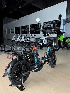 Trottinette électrique à une roue SAIGE, moteur <span class=keywords><strong>Znen</strong></span>, trottinette rétro, trottinette électrique sans permis, trottinette rétro - Product Image 2